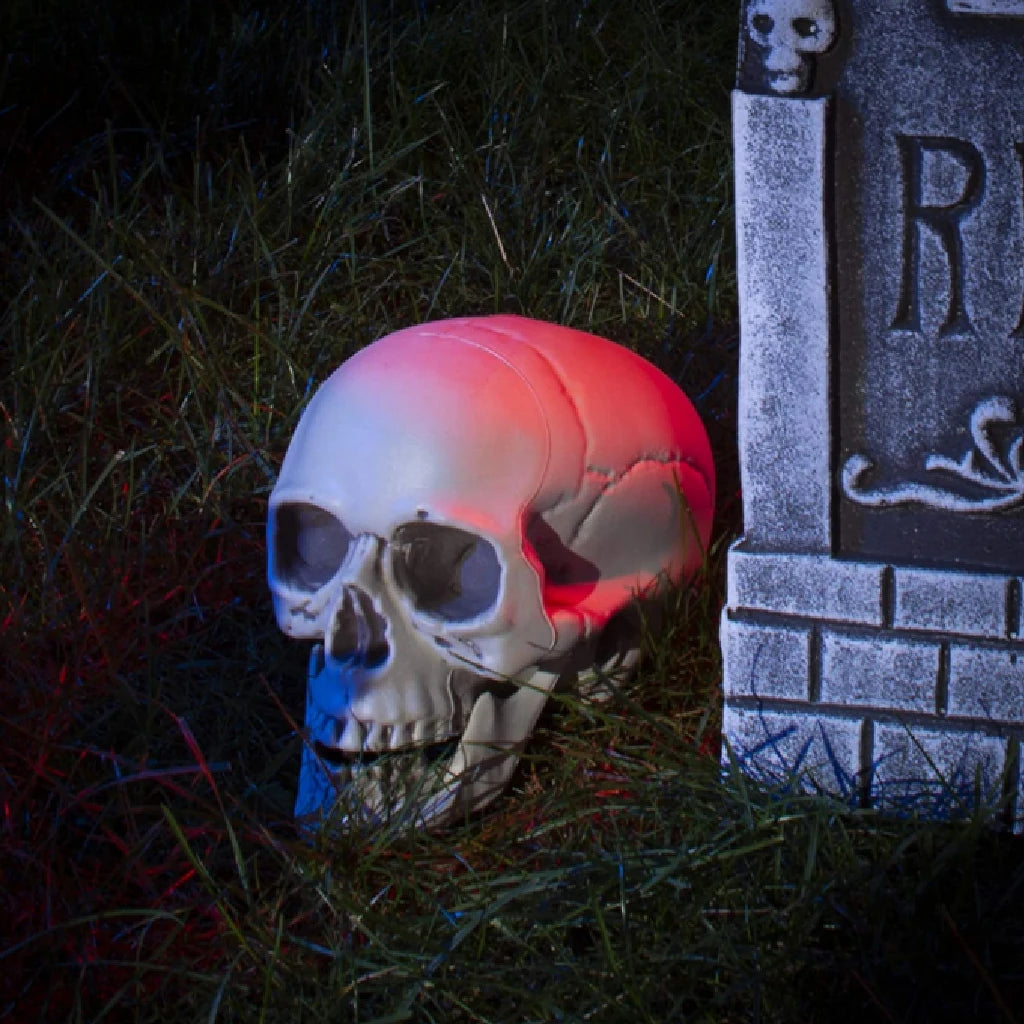 1Pcs Plastic Skull Head Figurine Statue Artificial Scary Bone Skeleton Decorative Sculpture for Bar Party Home Halloween Decor