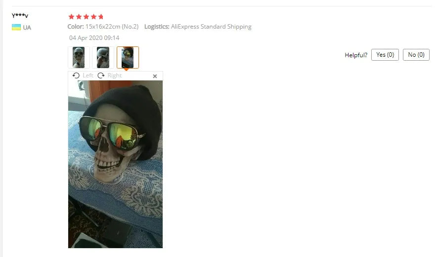 1Pcs Plastic Skull Head Figurine Statue Artificial Scary Bone Skeleton Decorative Sculpture for Bar Party Home Halloween Decor