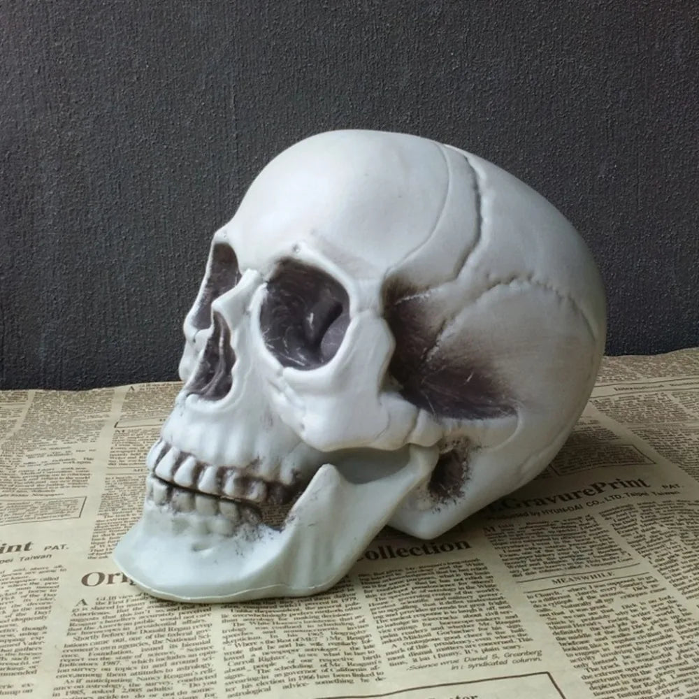1Pcs Plastic Skull Head Figurine Statue Artificial Scary Bone Skeleton Decorative Sculpture for Bar Party Home Halloween Decor
