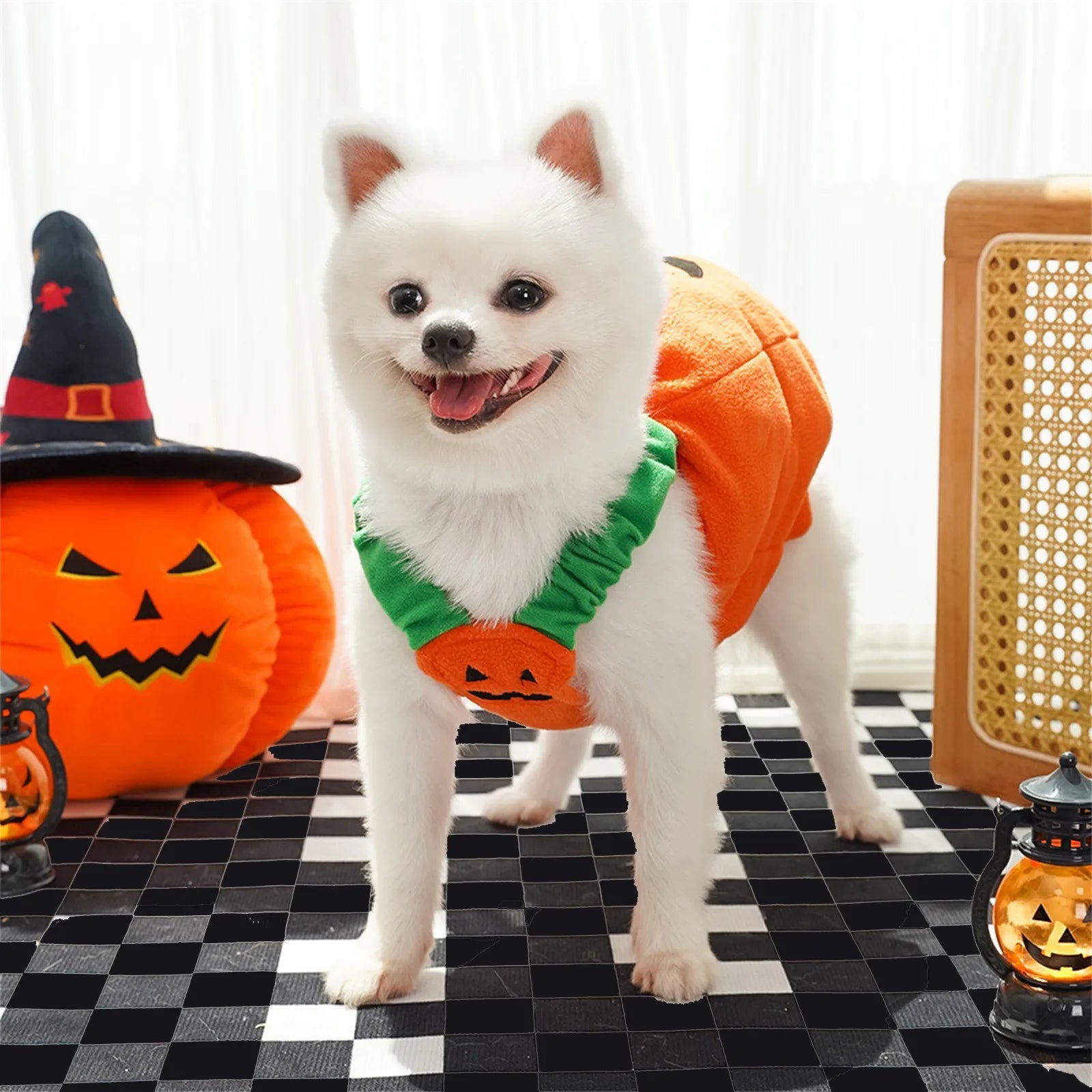 Halloween Dog Pumpkin Clothes Transformation Costume Cosplay Funny Cat Teddy Dog Special Events Apparel Comical Outfits