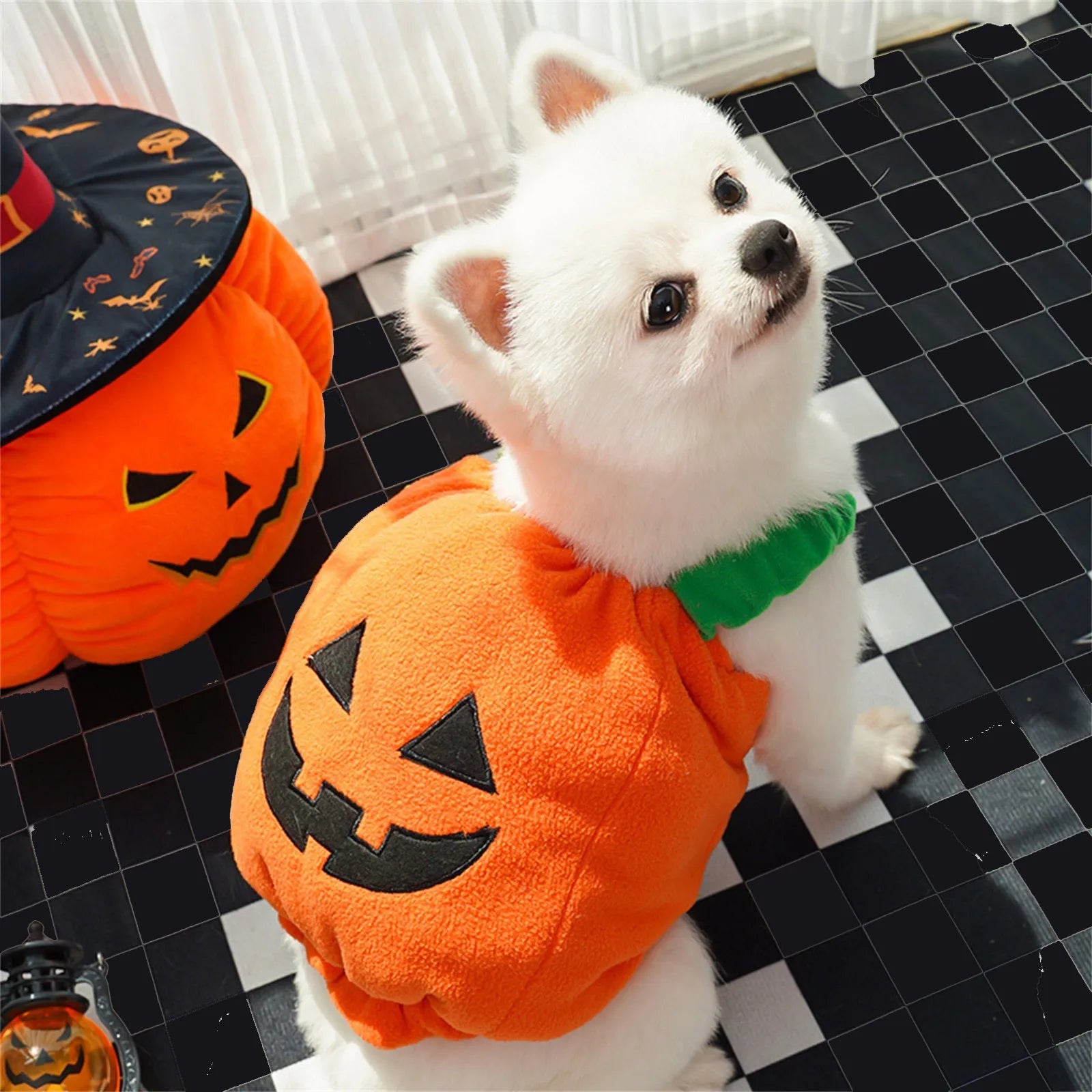 Halloween Dog Pumpkin Clothes Transformation Costume Cosplay Funny Cat Teddy Dog Special Events Apparel Comical Outfits